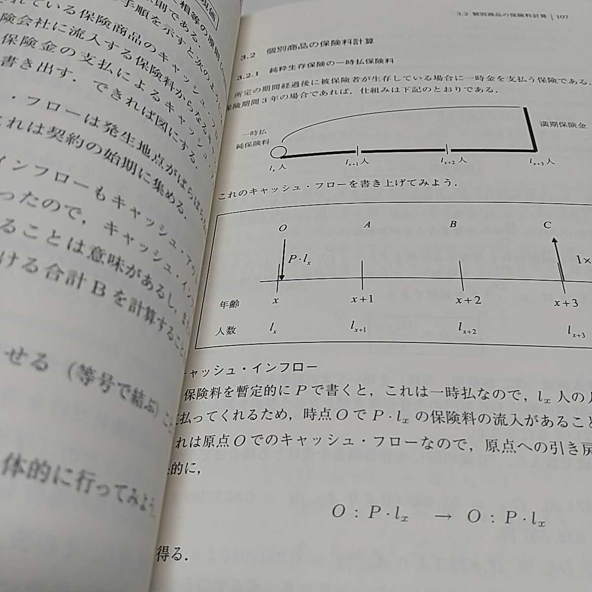 生命保険数学の基礎 アクチュアリー数学入門 山内恒人 中古