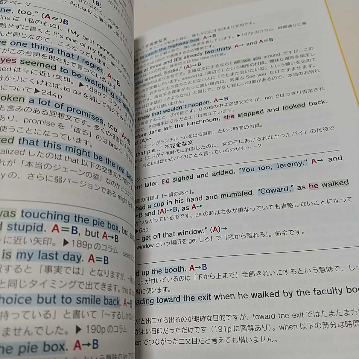 2冊セット ビッグ・ファット・キャットの世界一簡単な英語の本 ＆ 世界一簡単な英語の大百科事典 ※背やけ有 たかしまてつお 向山貴彦_画像5