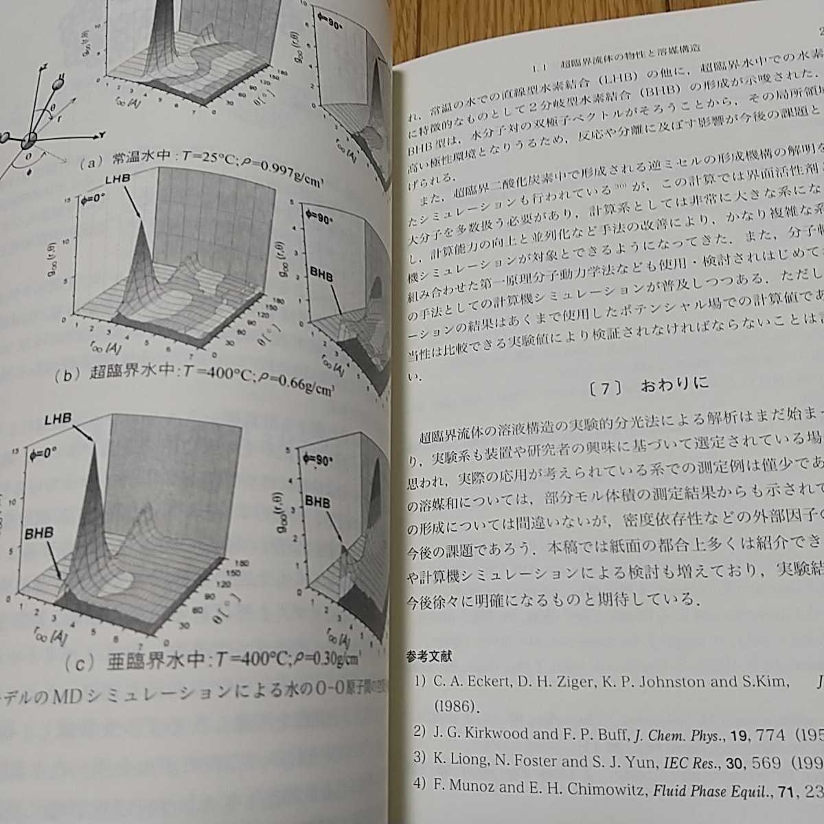 超臨界流体 環境浄化とリサイクル・高効率合成の展開 佐古猛 アグネ承風社 2001年第1版第1刷 中古_画像10