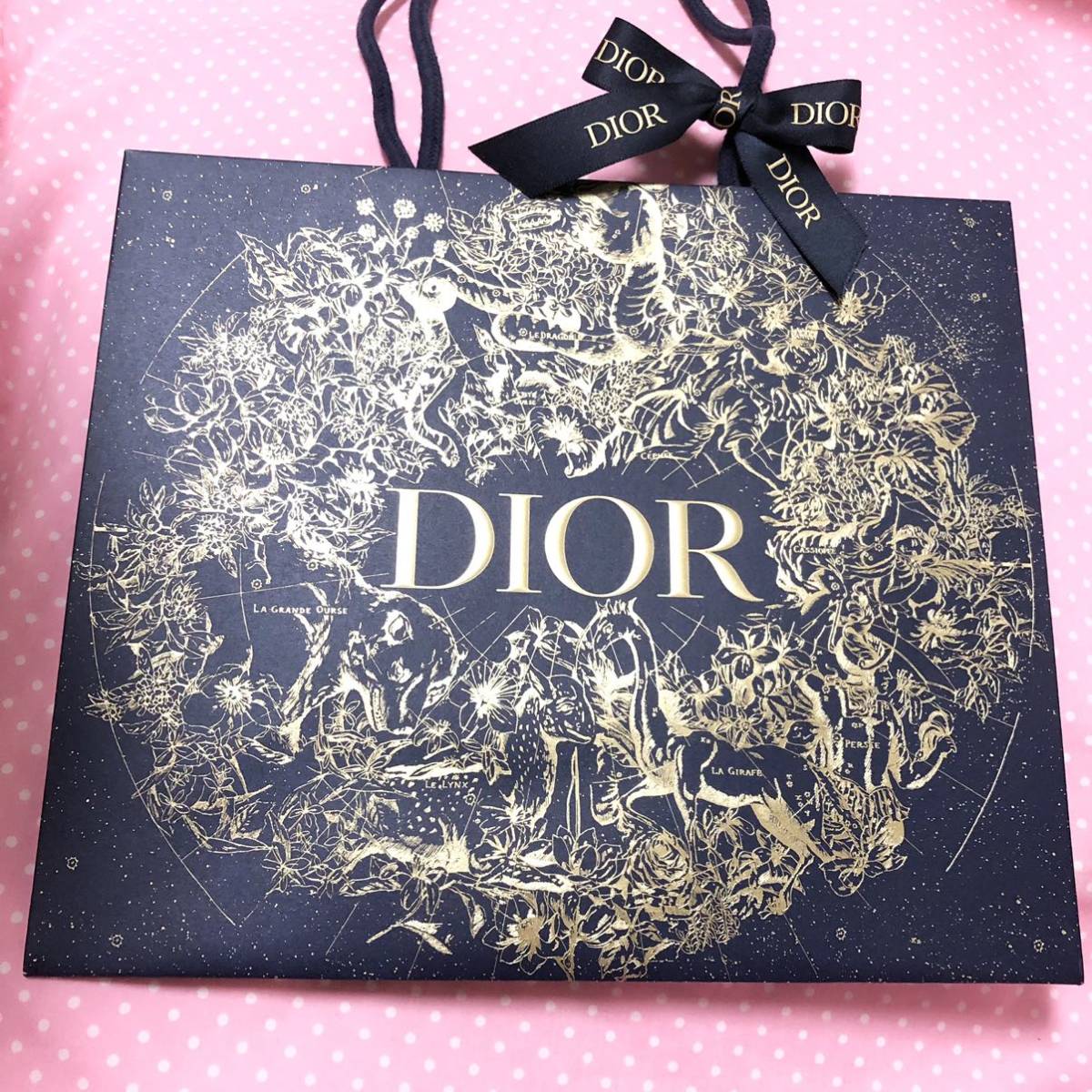 新品 ディオール 限定 紙袋 ショップ袋 ショッパー DIOR Dior ホリデー_画像1