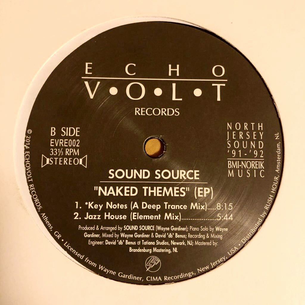 SOUND SOURCE NAKED THEMES EP 12INCH WAYNE GARDINER CLASSIC MAN FRANCOIS K JOE CLAUSSELL DANNY KRIVIT KERRI CHANDLER THEO PARRISH_画像2