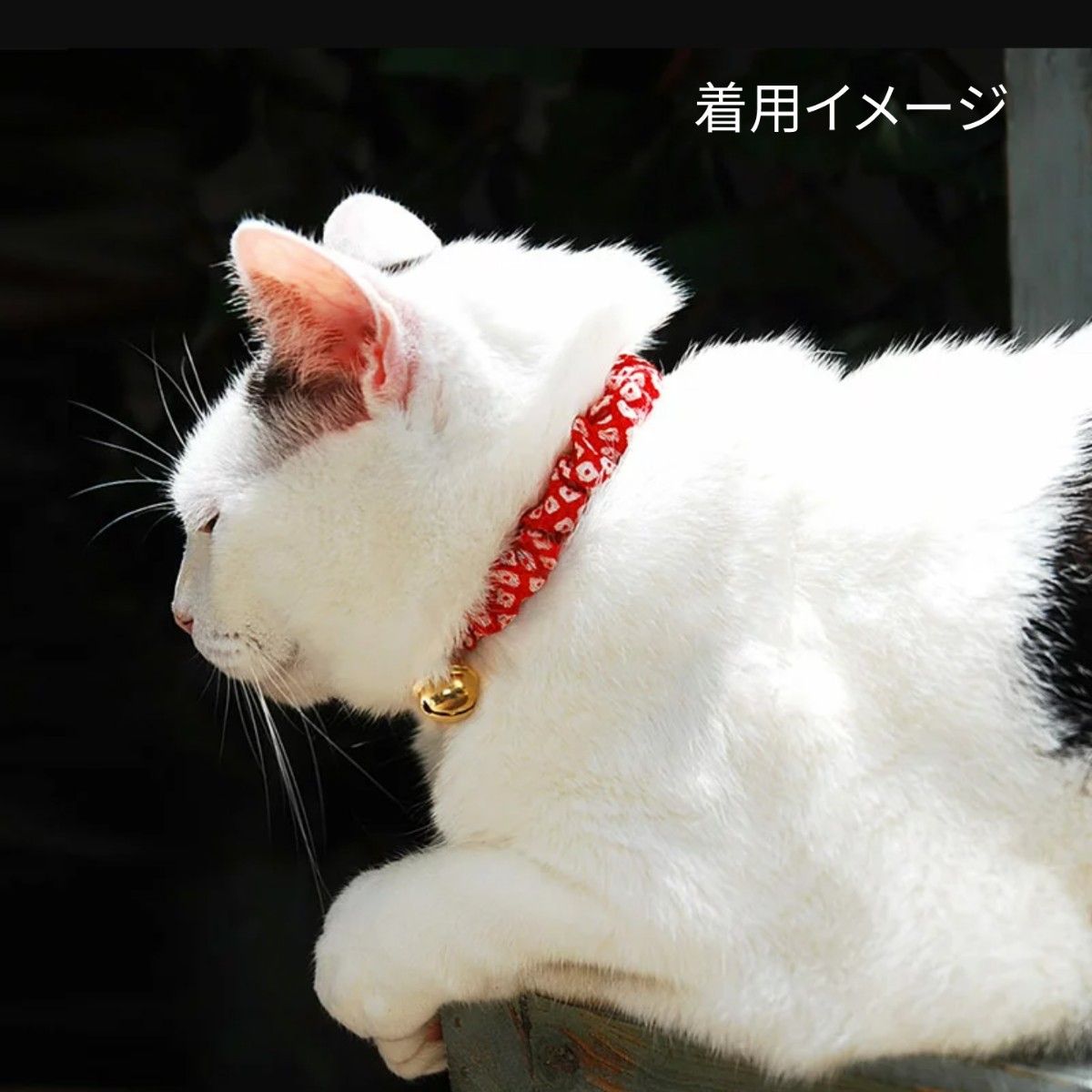猫の暮らし 猫用首輪 鈴付き M シュシュカラー 和柄 赤 ちりめん