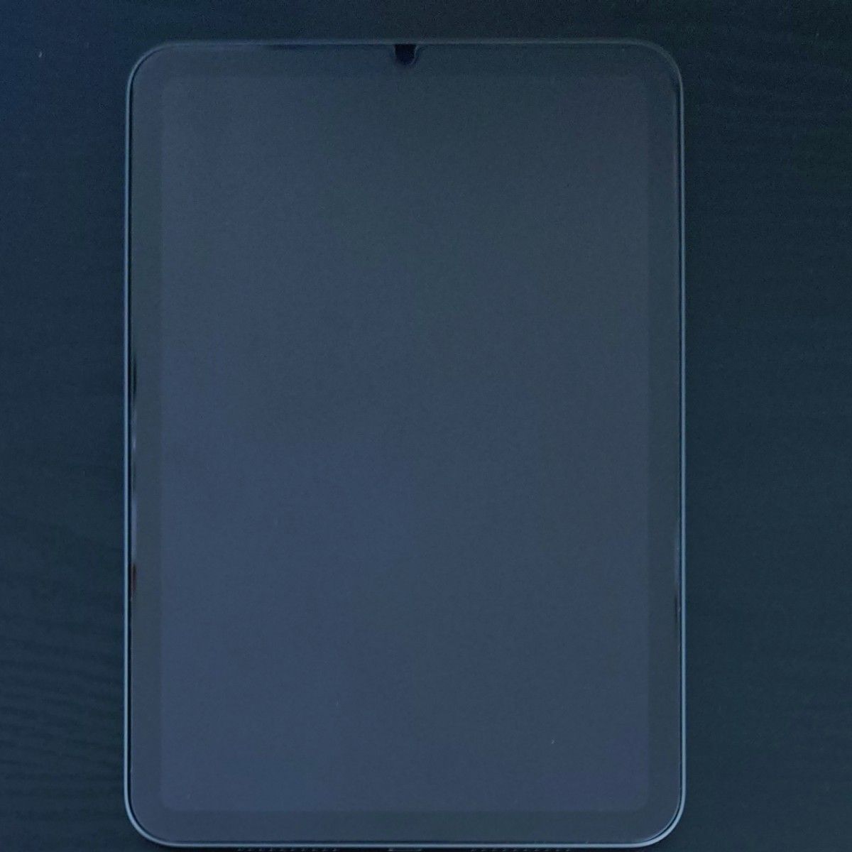 付属多数】iPad mini 第6世代 Wi-Fiモデル 64GB スペースグレイ