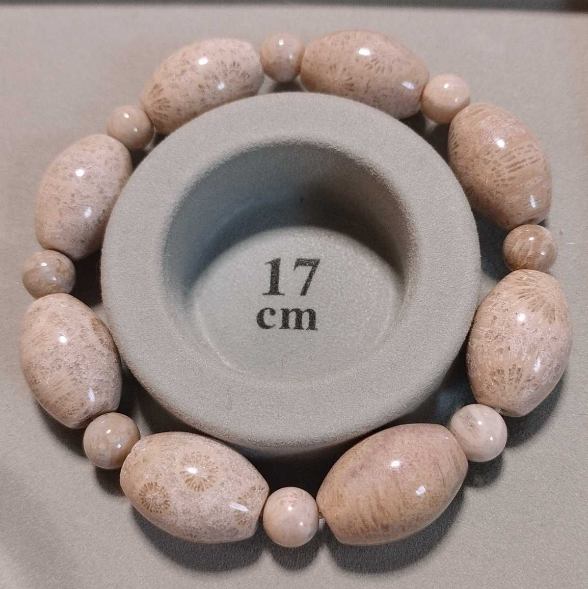 ヒート フォッシルコーラル 化石珊瑚 天珠 ブレスレット 17cm 菊花石 