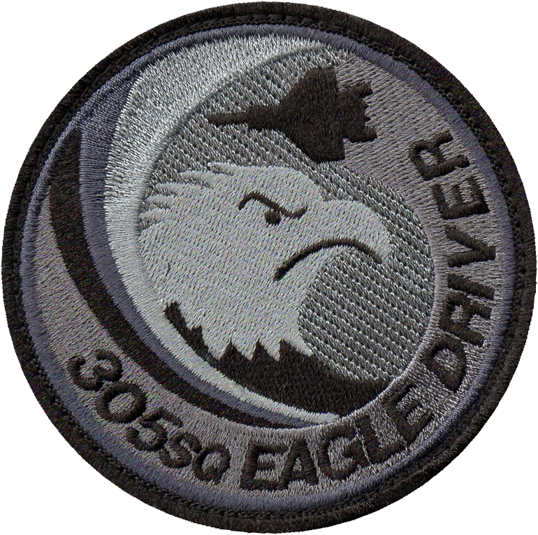 新田原基地 第305飛行隊　F-15 EAGLE Ｅ／Ｄパッチ_画像1