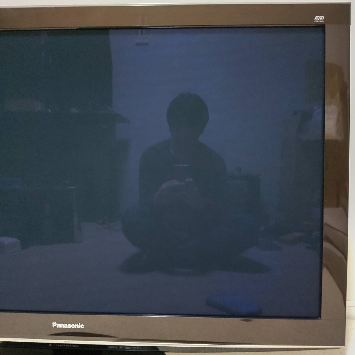Panasonic プラズマ テレビ TH-P50VT2 50インチ 家電 | odmalihnogu.org