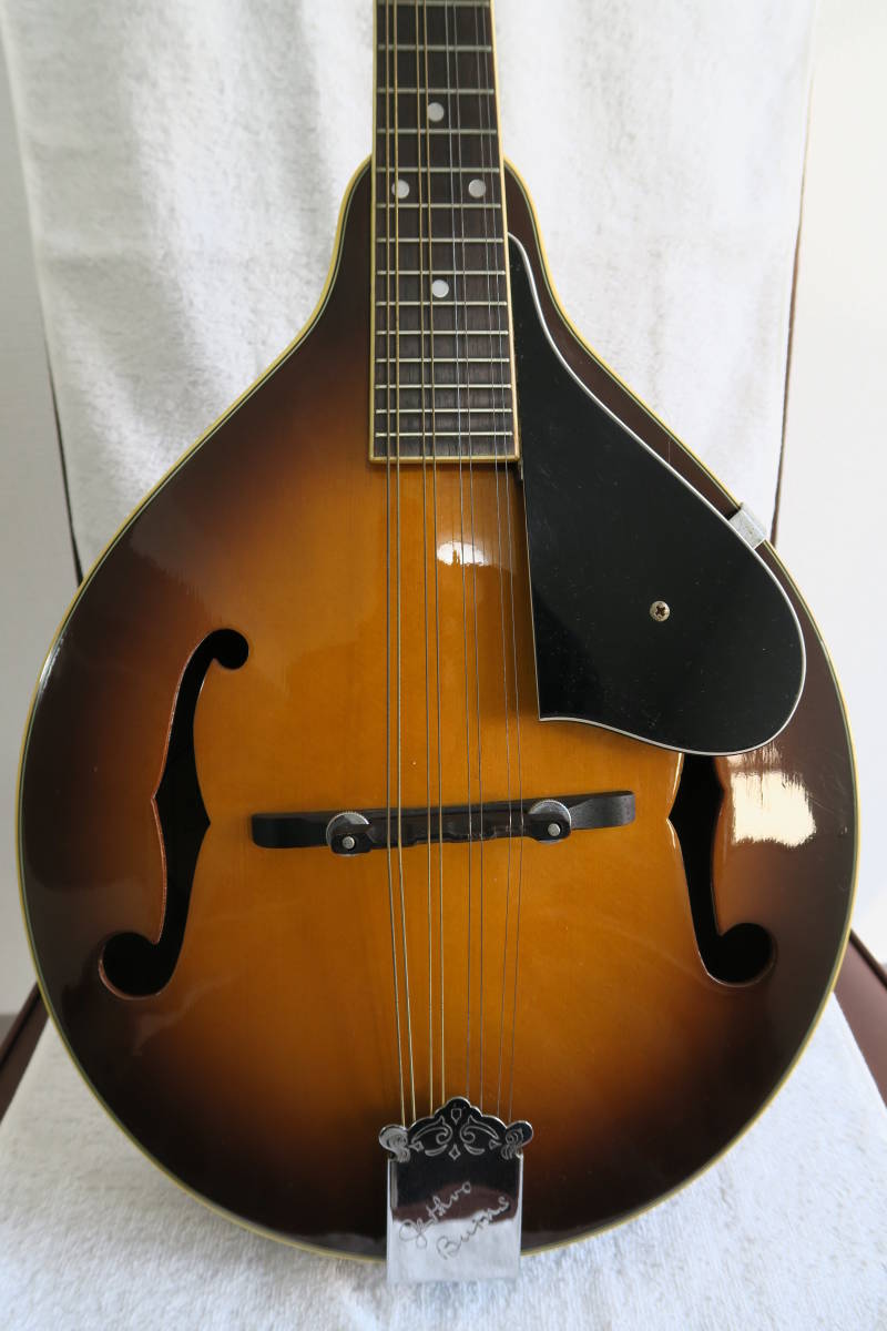 【美品】WASHBURN マンドリン M3EK-A フラットマンドリン Washburn フラットマンドリン(| Washburn ワッシュバーン