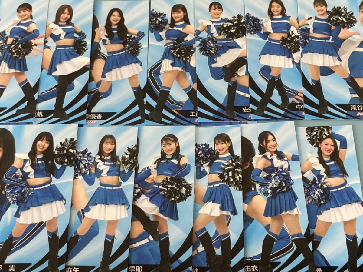 全商品オープニング価格 BBM 2022 プロ野球チアリーダーカード 華 直筆