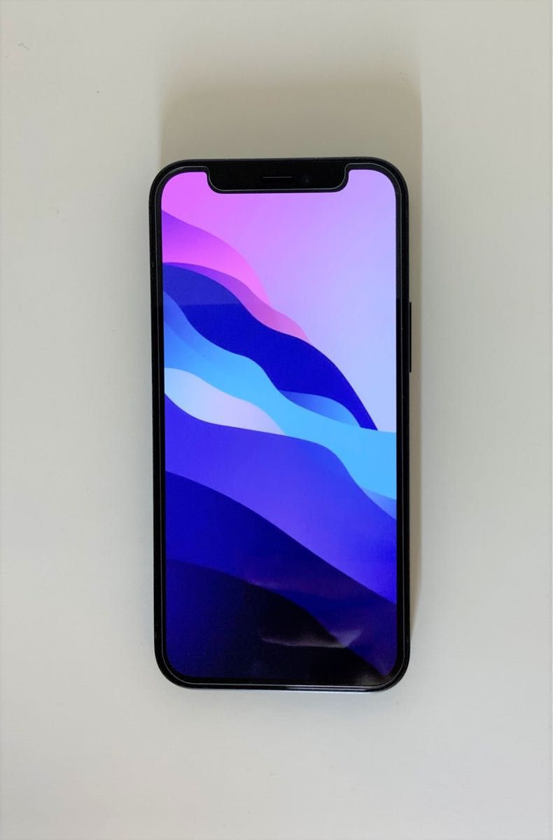 iPhone 12 mini ブラック 64 GB SIMフリー 本体 +おまけ