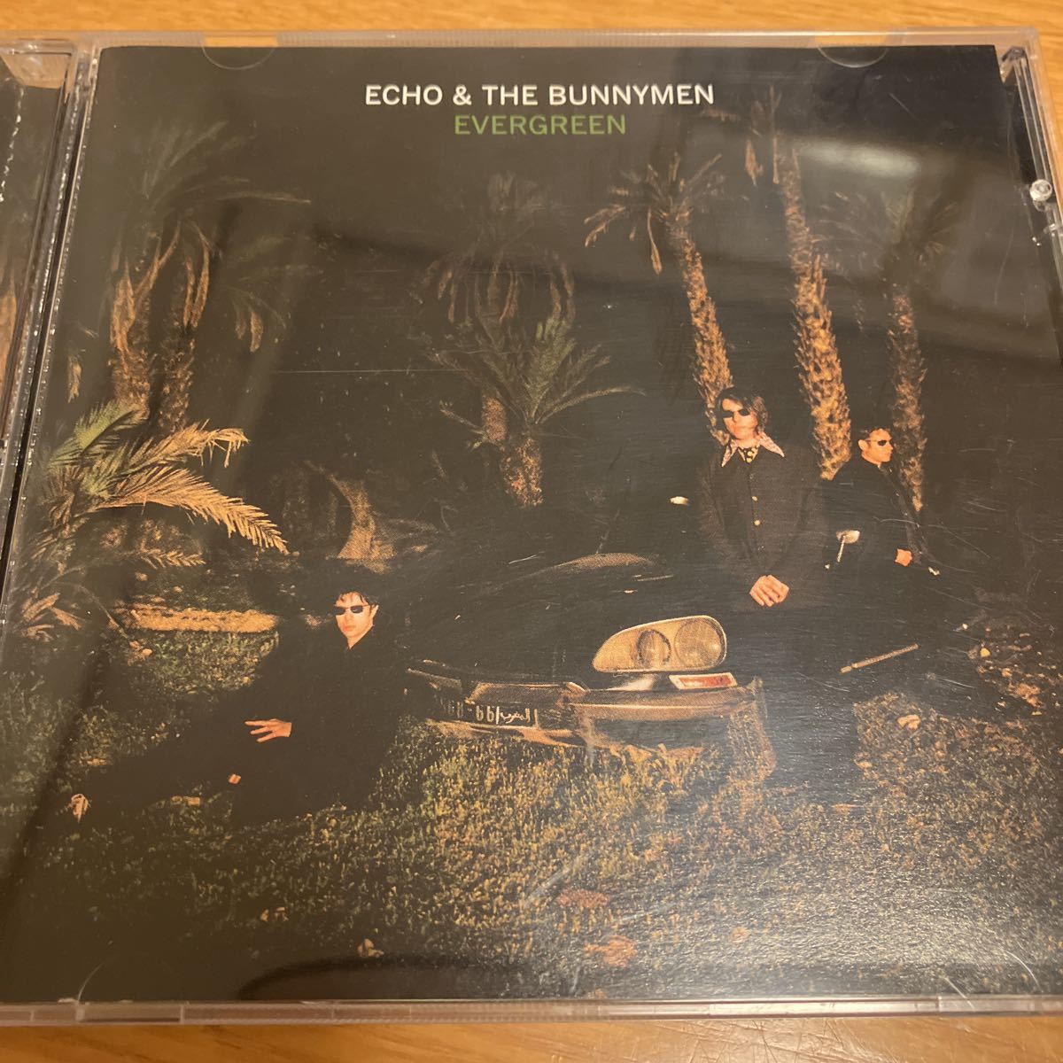 ECHO&THE BUNYMEN EVERGREEN CD 中古品の画像1