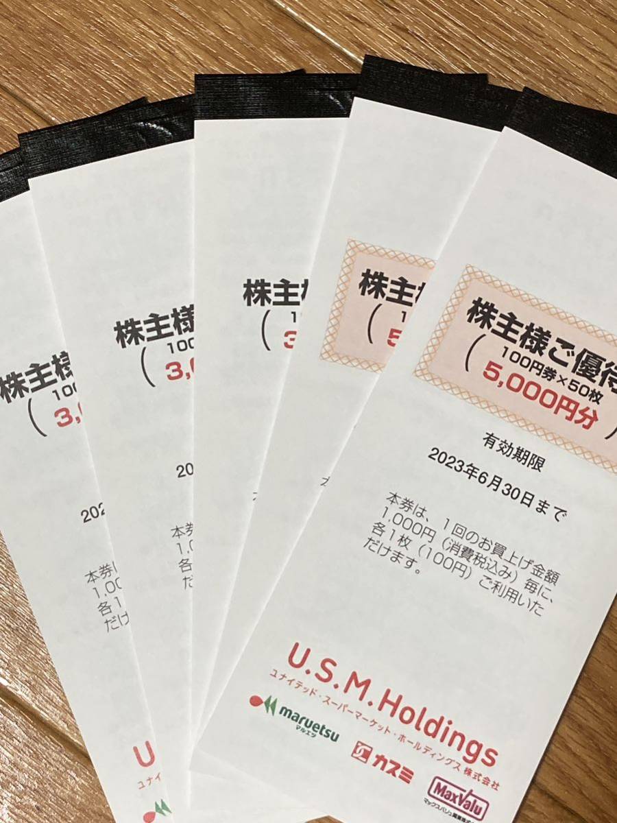 株主優待券 ユナイテッドスーパーマーケット19000円分 USMH マルエツ