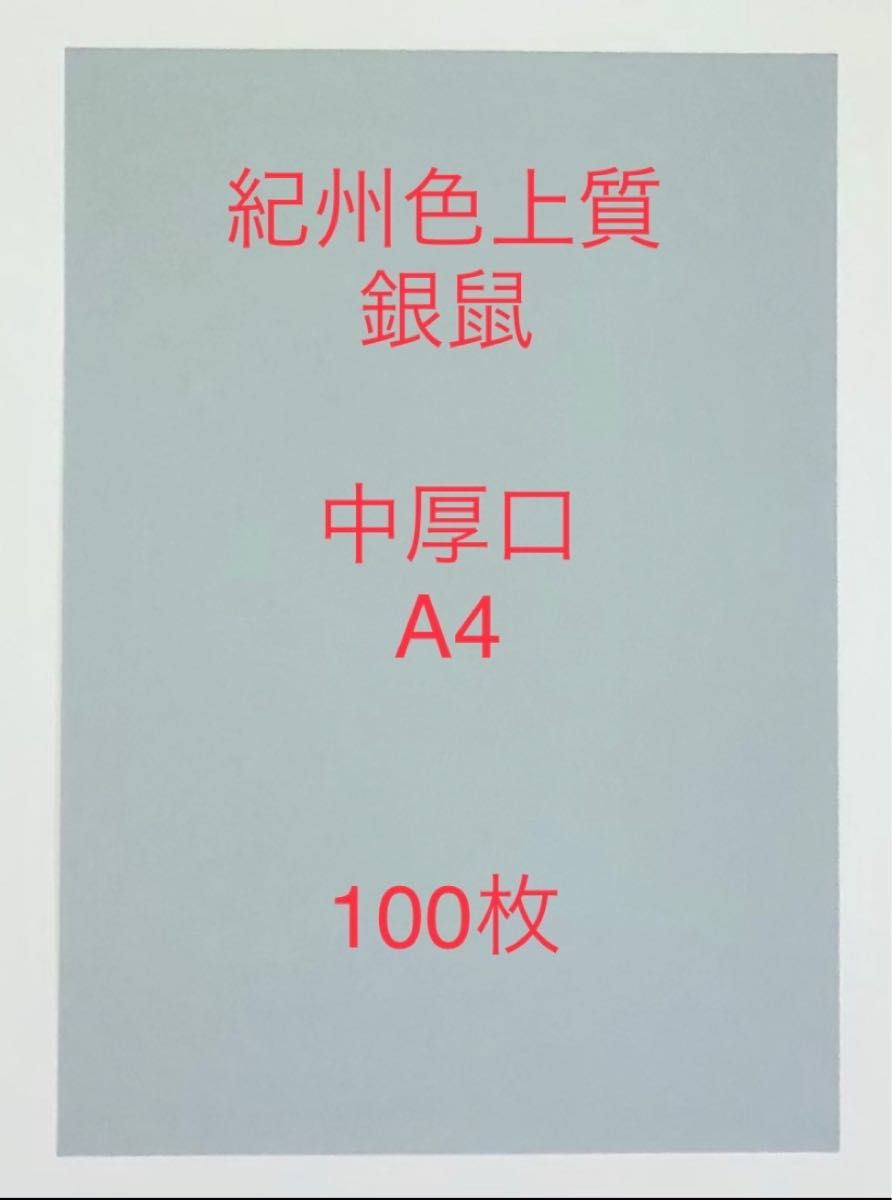 北越コーポレーション 紀州の色上質 銀鼠 中厚口A4規格100枚