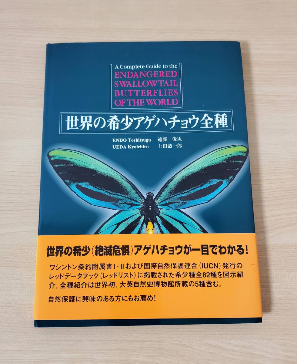 世界の希少アゲハチョウ全種　遠藤 俊次 上田 恭一郎_画像1