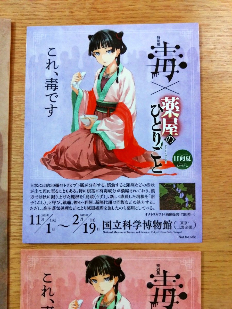 早割クーポン! 薬屋のひとりごと クリアファイル・ステッカー 毒展 毒 早割クーポン! 薬屋のひとりごと クリアファイル・ステッカー 毒展 毒