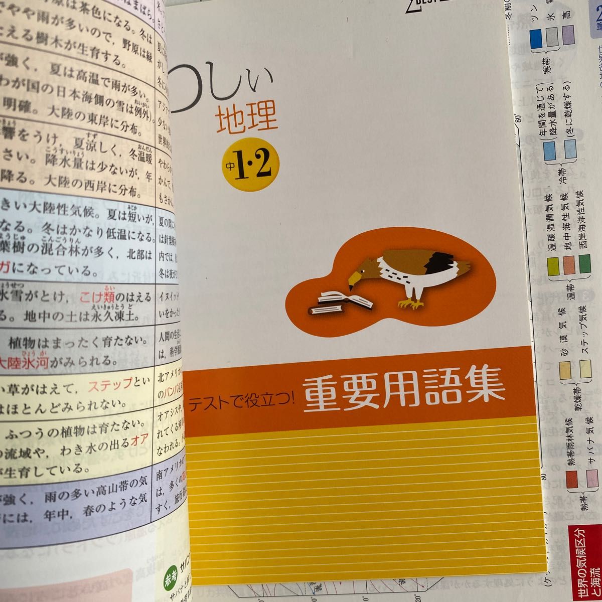 くわしい地理　中学１・２年 （シグマベスト） （新訂） 矢ケ崎典隆／編著