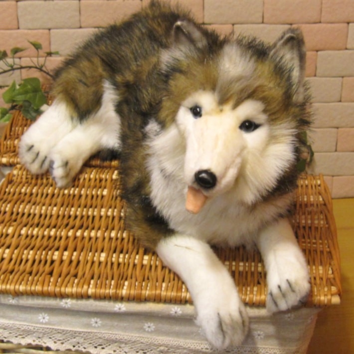 新発売の 大きくてリアルな犬のぬいぐるみ シベリアンハスキー 大 お部屋のインテリアとしても いぬのオブジェ ドッグオーナメント イヌ イヌ一般 新発売の 大きくてリアルな犬のぬいぐるみ シベリアンハスキー 大 お部屋のインテリアとしても いぬのオブジェ ドッグオーナメント イヌ イヌ一般