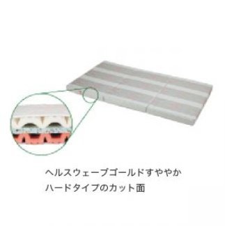 ヤフオク! - 新品未使用品 ヘルスウェーブゴールド すややか