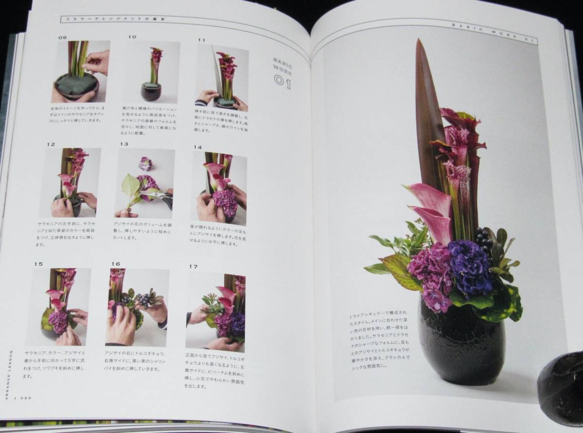 食虫植物 サラセニア・アレンジブック 彩りあふれる個性派植物完全ガイドの画像9
