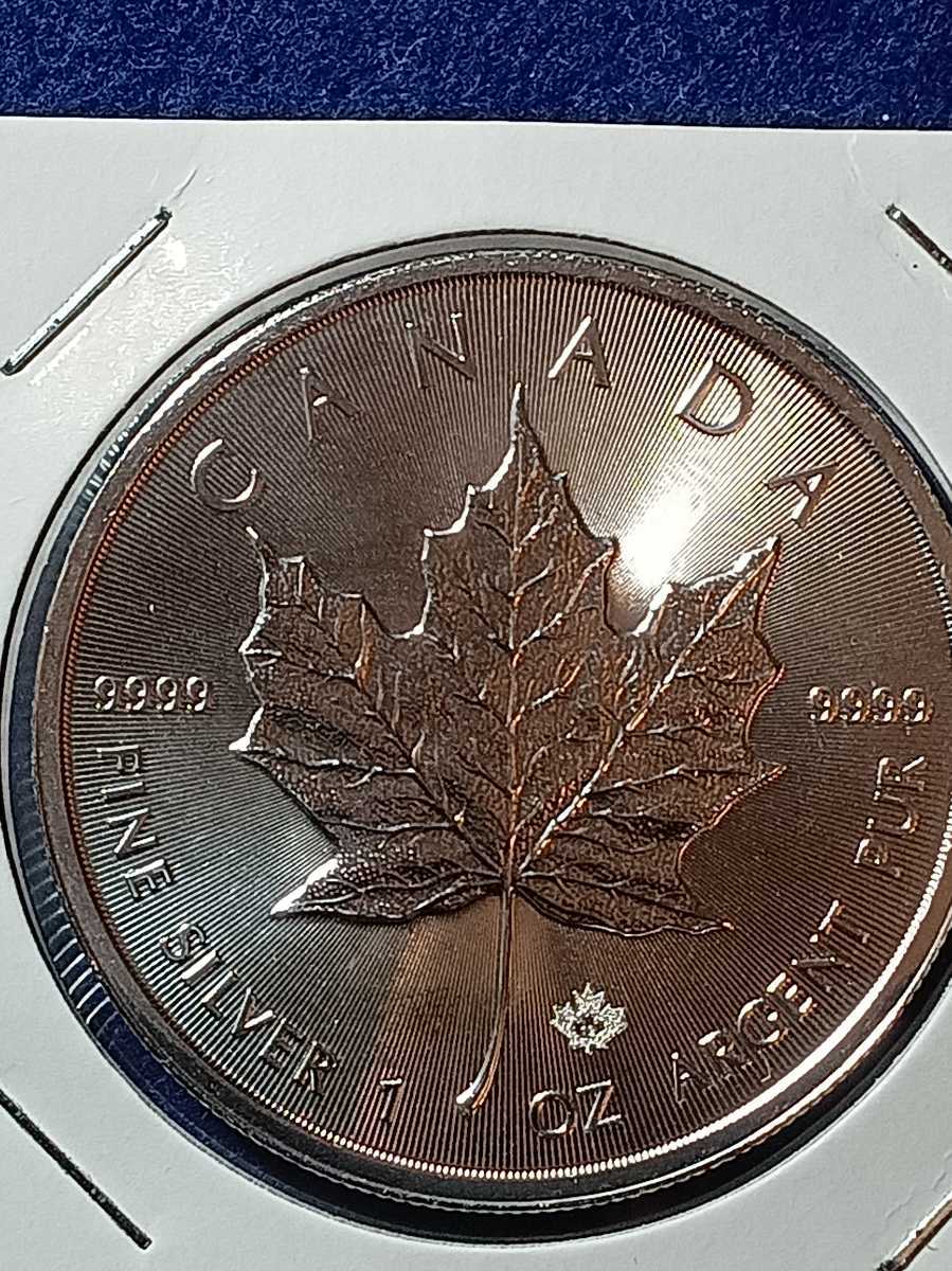 カナダ「メイプルリーフ」純銀 1オンス 銀貨品位 : 99.99％の純銀重量 : 1オンス (31.1グラム)2019年 状態未使用の画像6