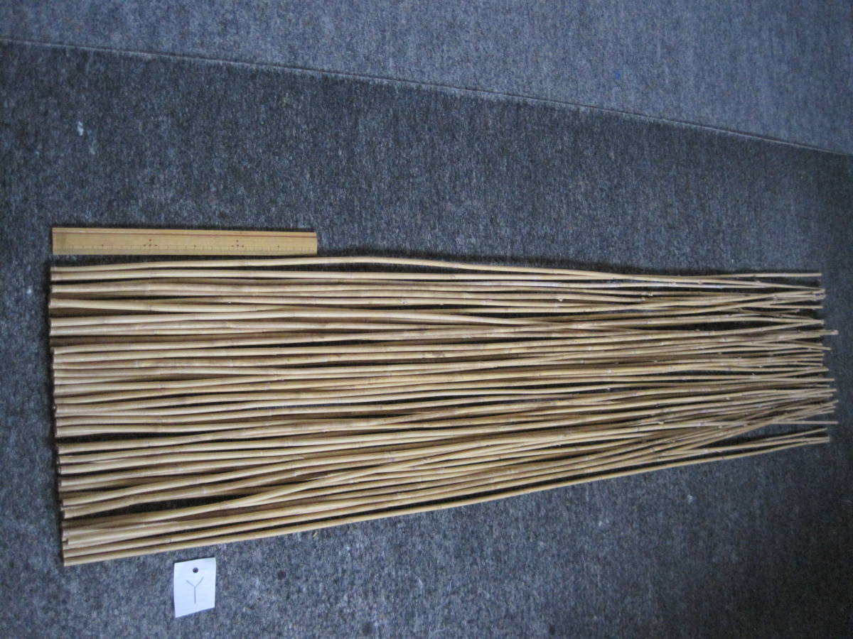 スズダケ　Y　５０本　高野竹　矢竹ではありません　矯め無し　長さ約１３２～１４１ｃｍ　太さ元径約７．０～８．０ｍｍ_画像1