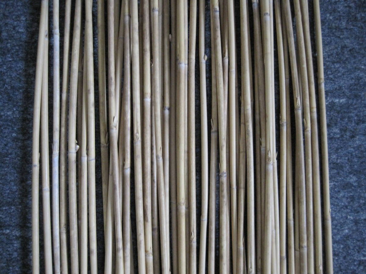 スズダケ　Y　５０本　高野竹　矢竹ではありません　矯め無し　長さ約１３２～１４１ｃｍ　太さ元径約７．０～８．０ｍｍ_画像5