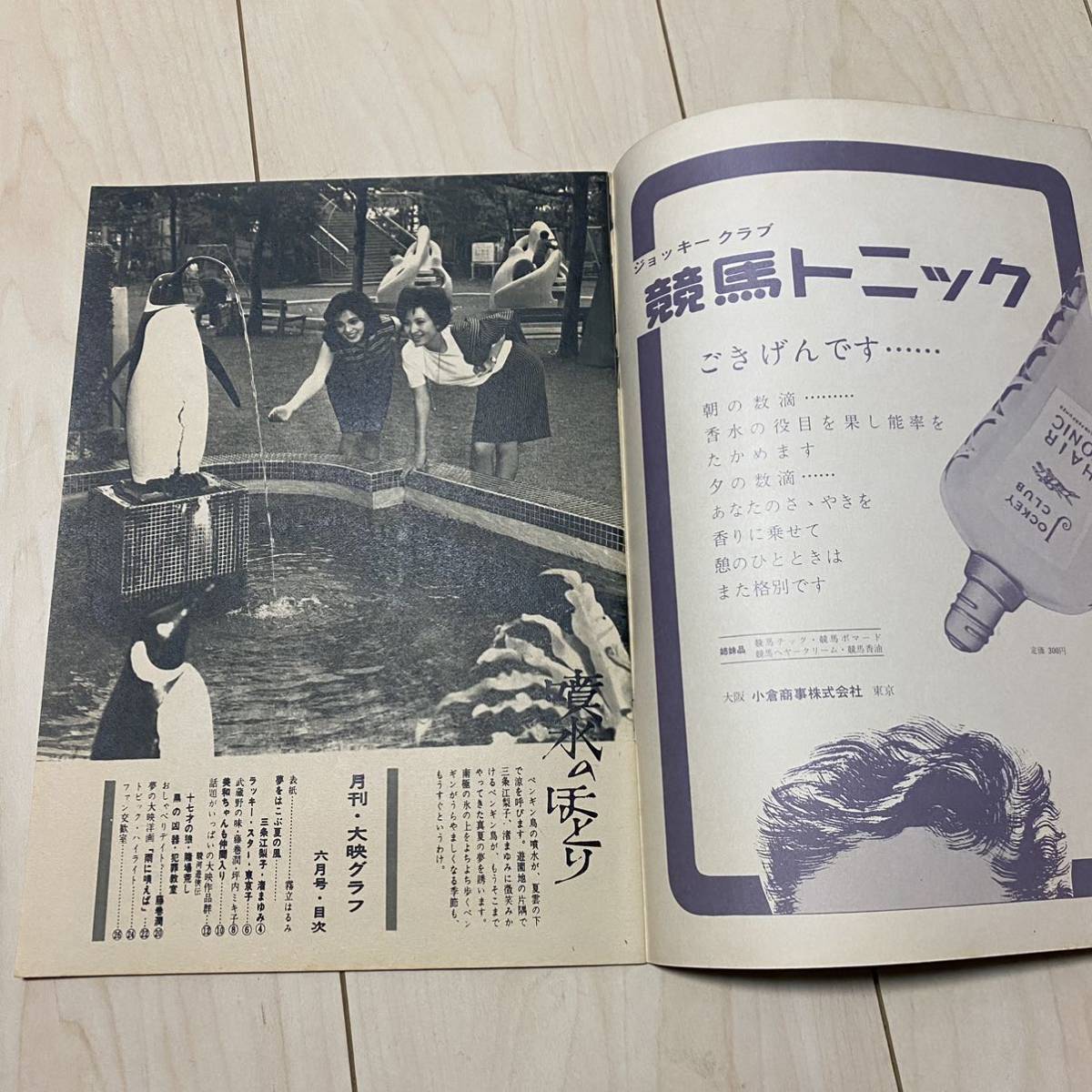 大映グラフ NO11 1964年　霧立はるみ　渚まゆみ　東京子　藤巻潤　坪内ミキ子　勝新太郎　藤村志保　田宮二郎　宇津井健　雨に唄えばす_画像4