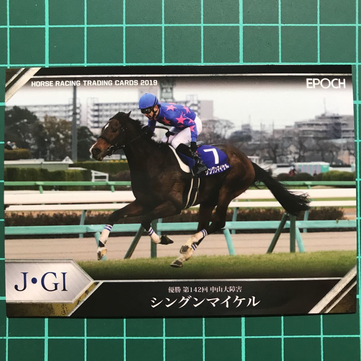 シングンマイケル 中山大障害 EPOCH ホースレーシングカード 2019 Vol