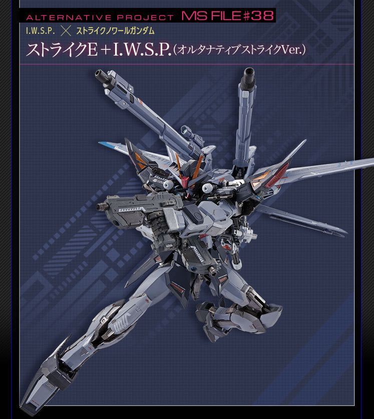 METAL BUILD ストライクノワールガンダム （オルタナティブストライク