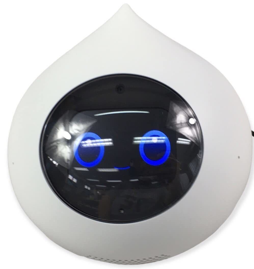 HY1295F Romi ロミィ 会話AIロボット 家庭用 ROMI-P02 日本製