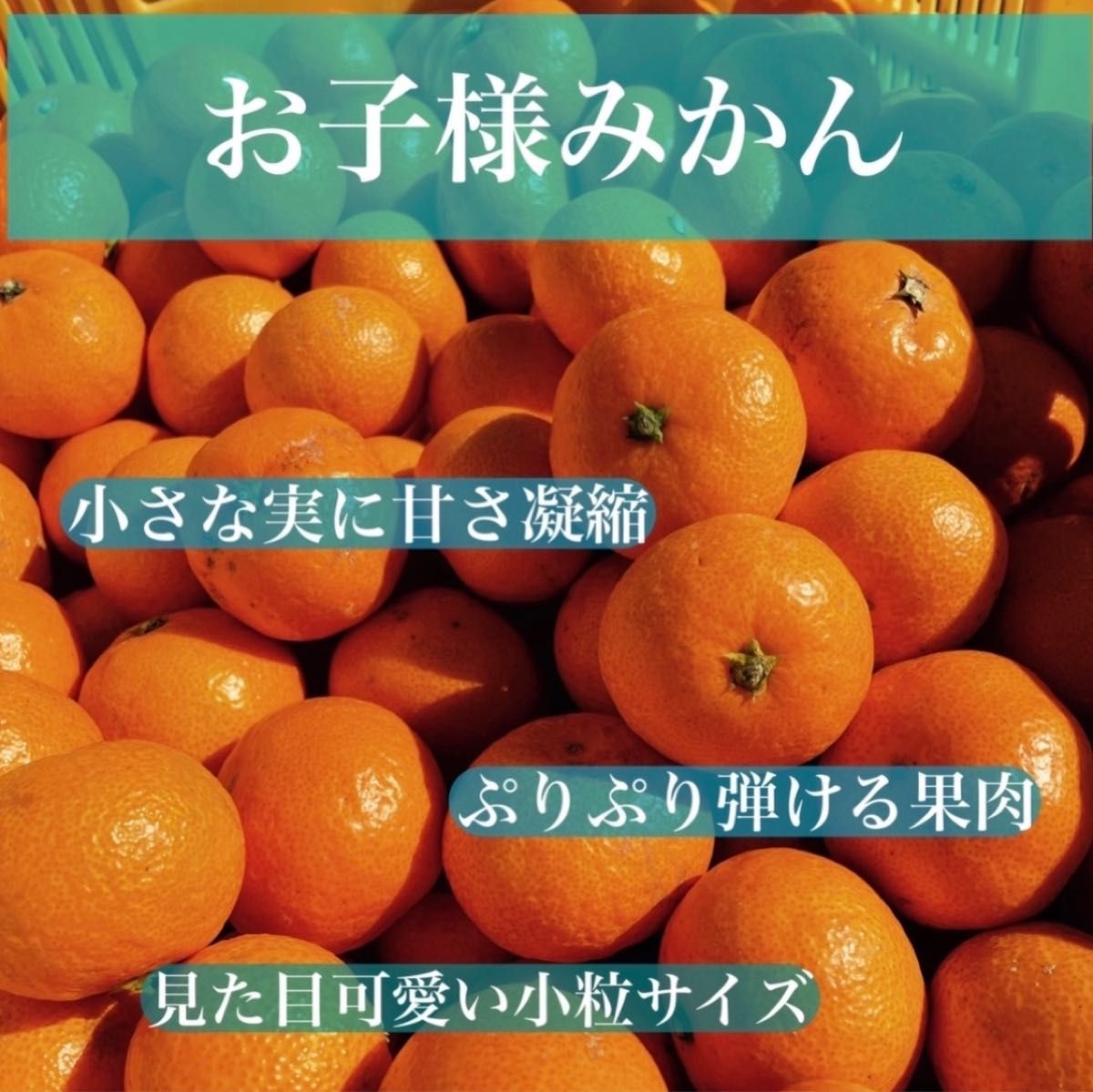 お子様みかん 1キロ 小粒 有田産｜PayPayフリマ