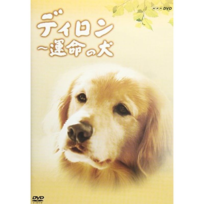 ディロン 運命の犬 DVD
