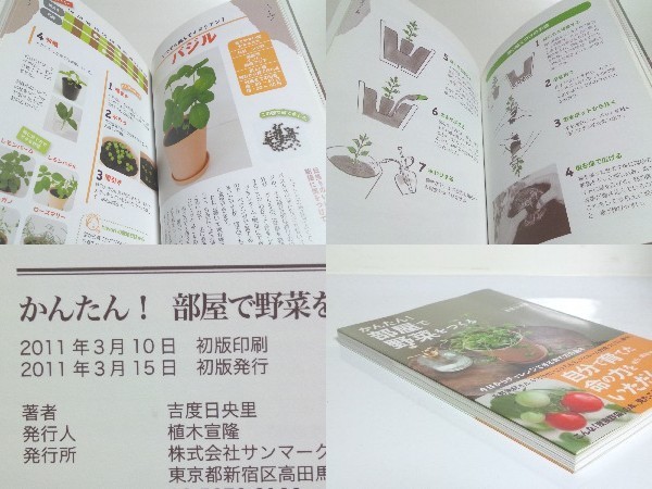 ★かんたん！ 部屋で野菜をつくる 吉度日央里 /家庭菜園 /ハーブ /送料安/領収書可_画像3