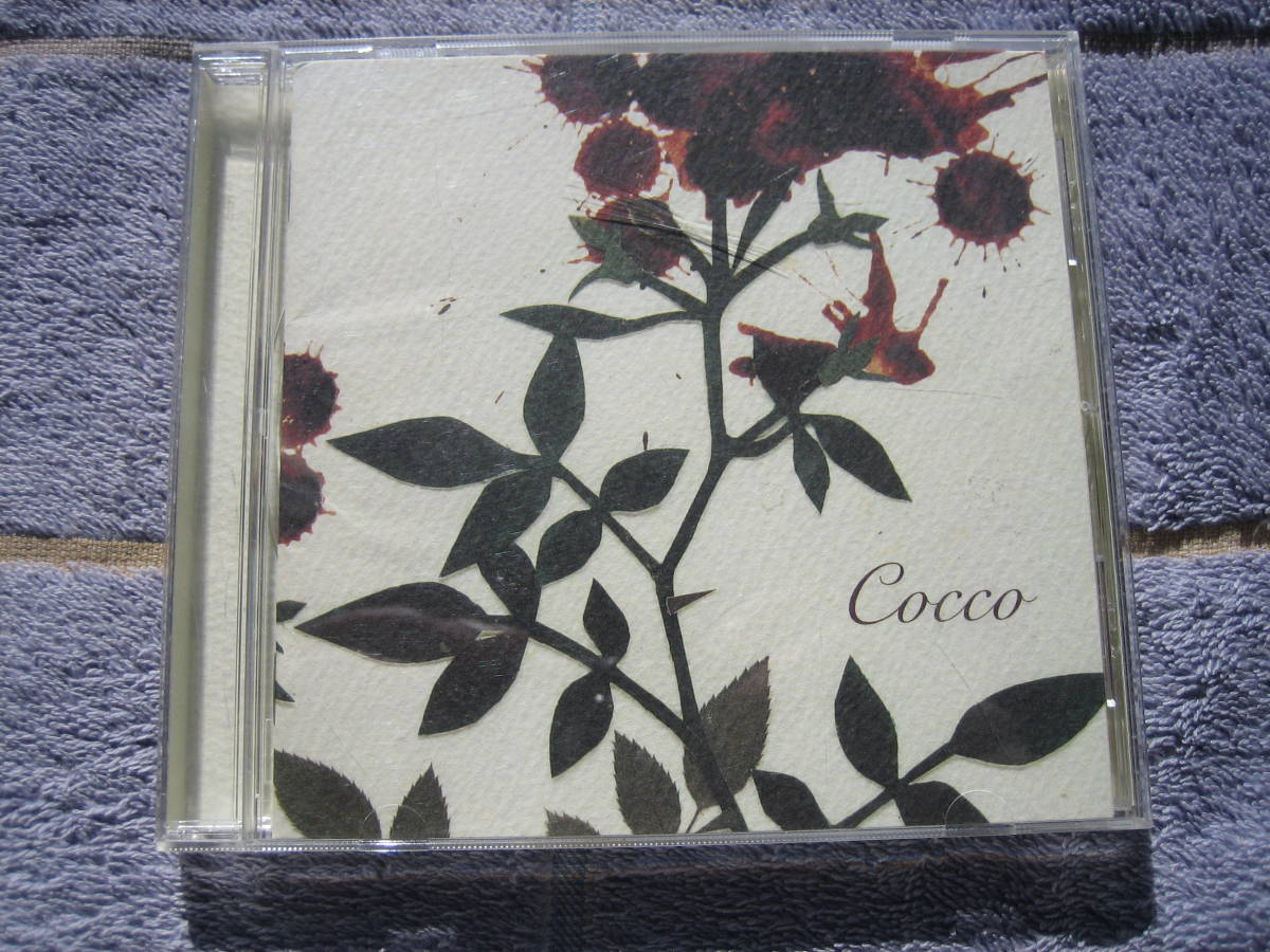 CD　COCCO　サングローズ　国内正規盤・中古品　こっこ_画像1