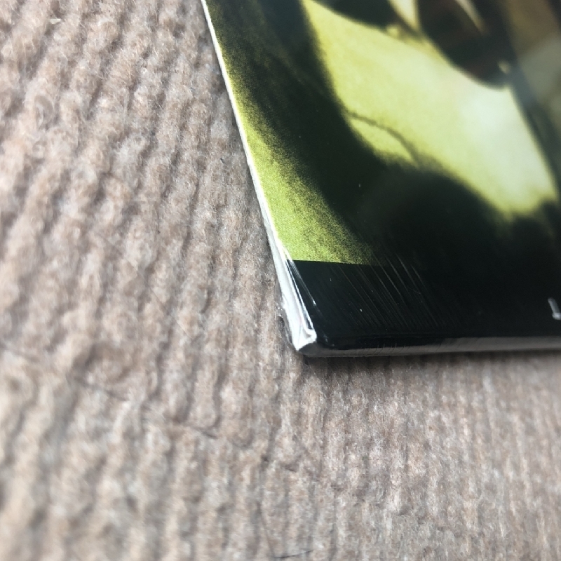 未開封新品 スティーリー・ダン Steely Dan 2018年 LPレコード Green Flower Street - Classic 1993 オランダ盤 180g重量盤 #5835_画像9