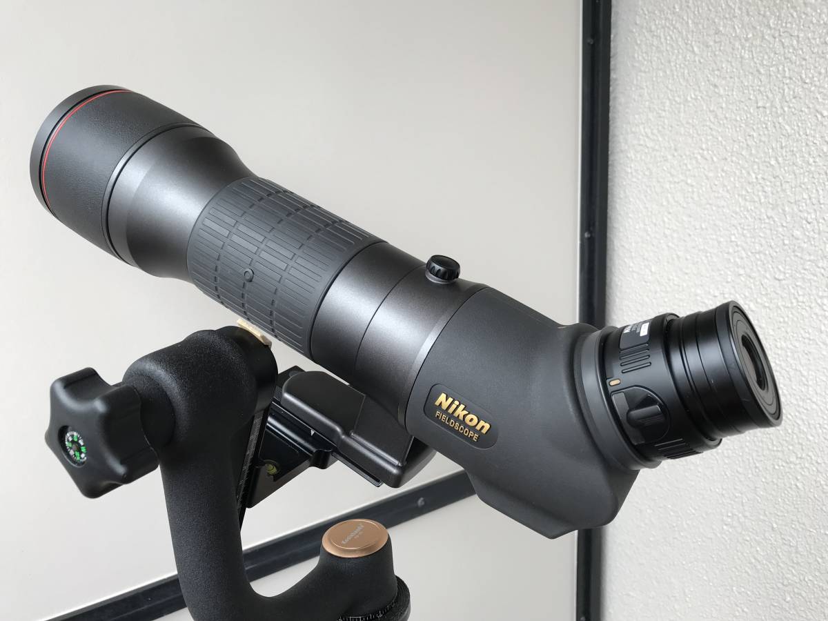沖縄・離島除く全国届 NIKON FEP-38W | doppocucina.com.br