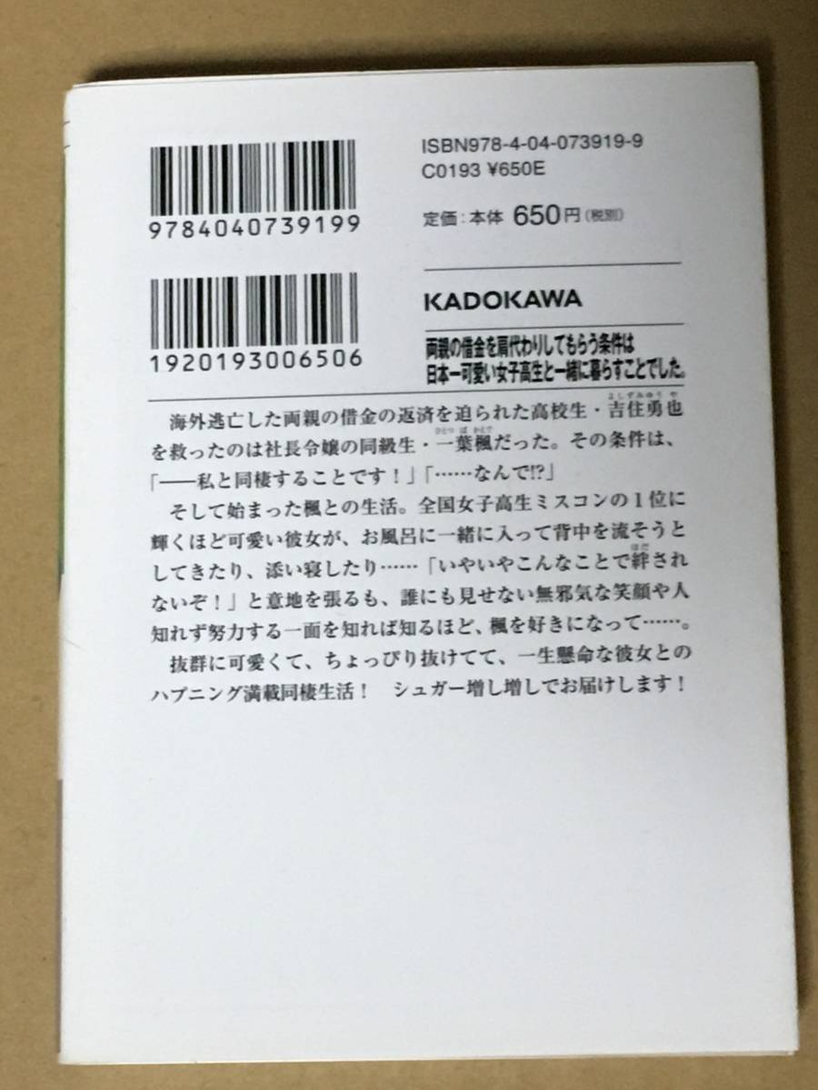 ライトノベル　両親の借金を肩代わりしてもらう条件は日本一可愛い女子高生と一緒に暮らすことでした。　雨音恵　ファンタジア文庫_画像2