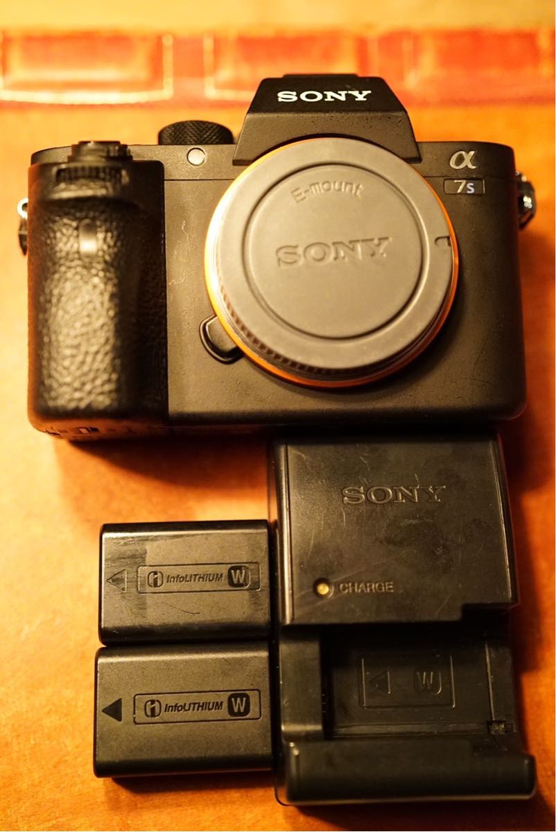 Sony α7sⅡ バッテリー２個 充電器 - ruizvillandiego.com