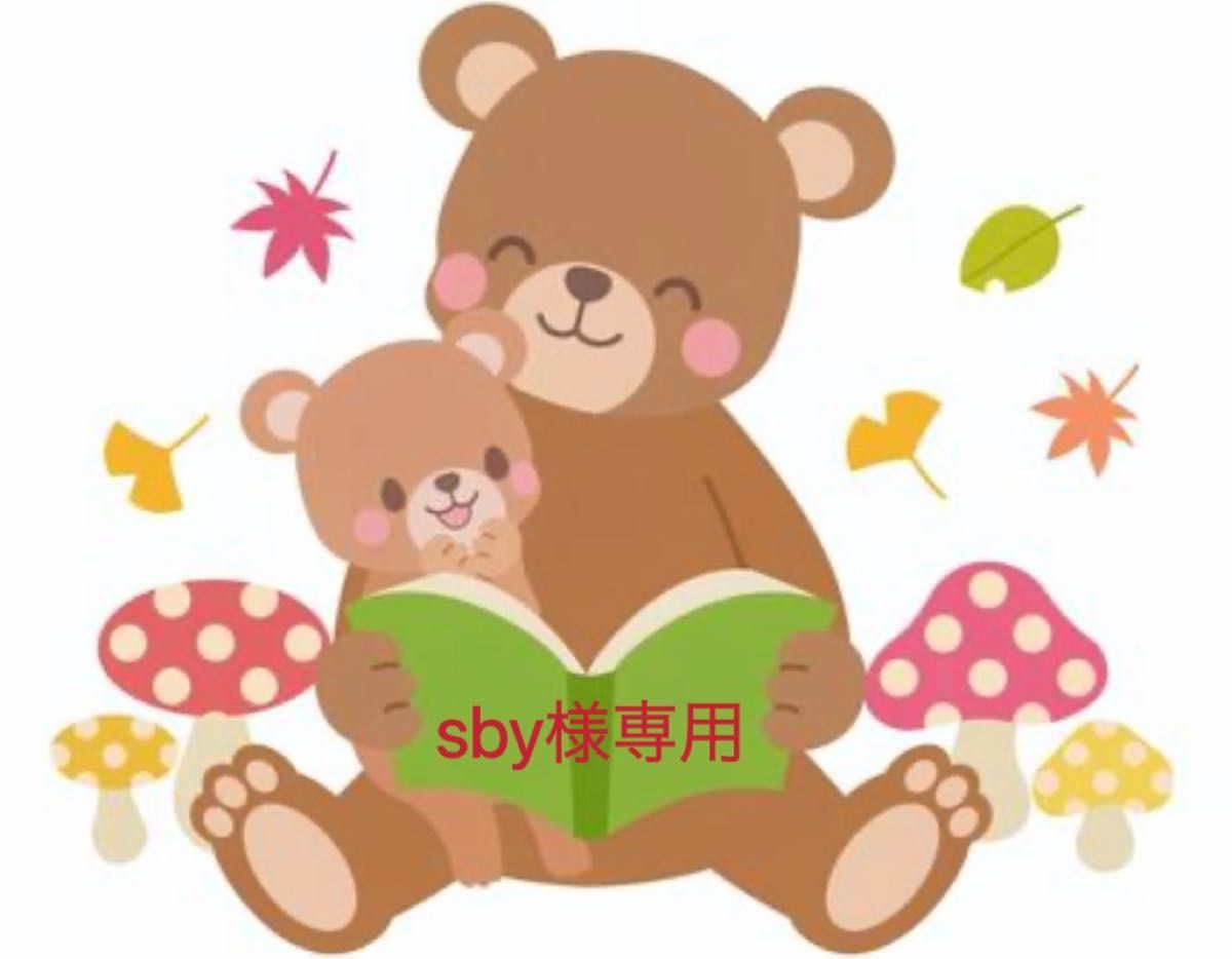 よくばりカード maiyapenセット マイヤペン Liaoリスト 英語絵本