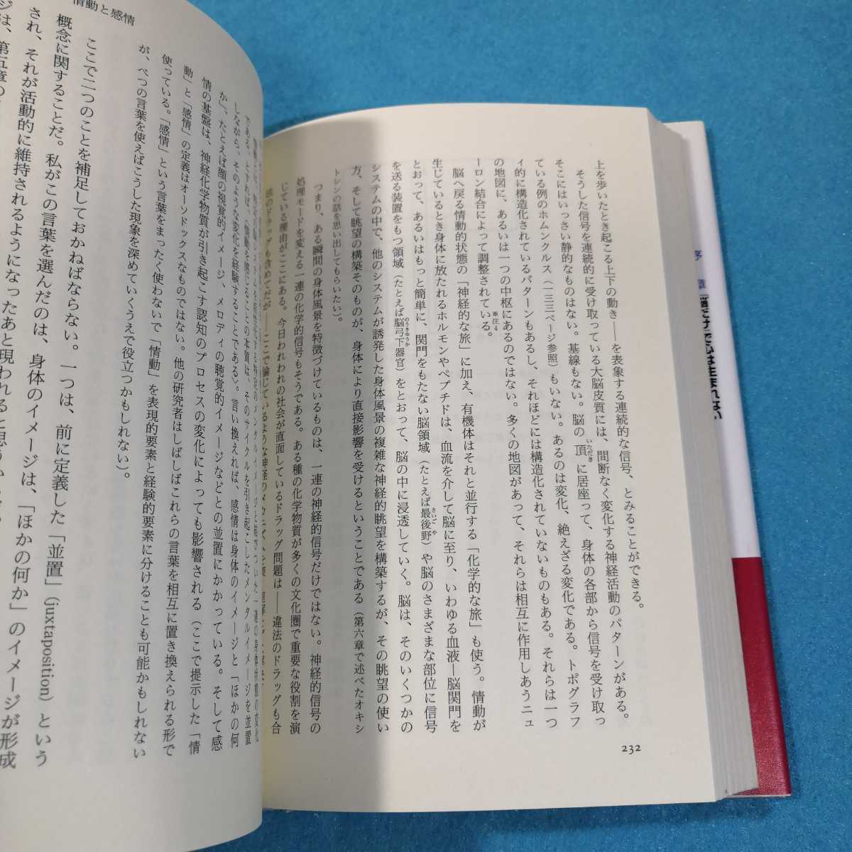 生存する脳　心と脳と身体の神秘 アントニオ・Ｒ．ダマシオ／著　田中三彦／訳●送料無料・匿名配送_画像7