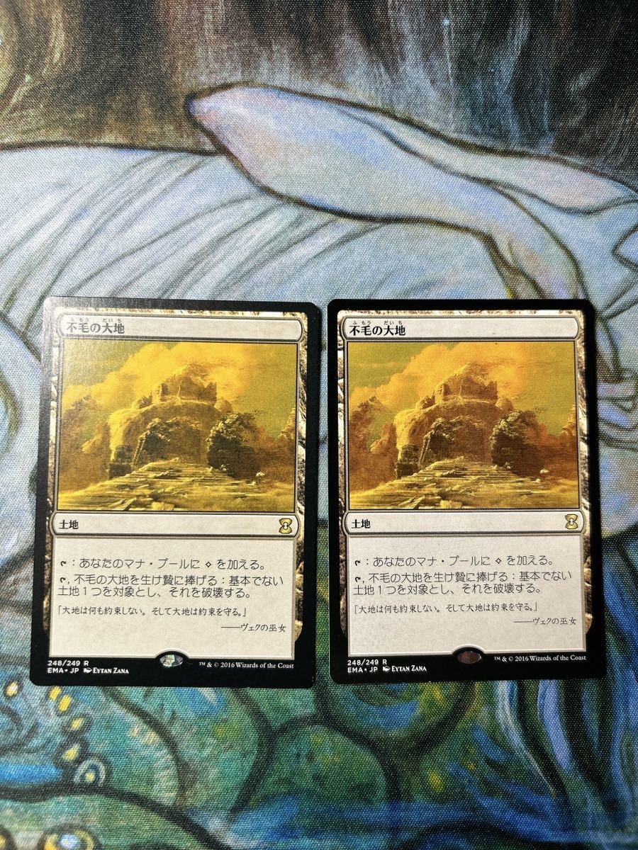 mtg 不毛の大地2枚_画像1