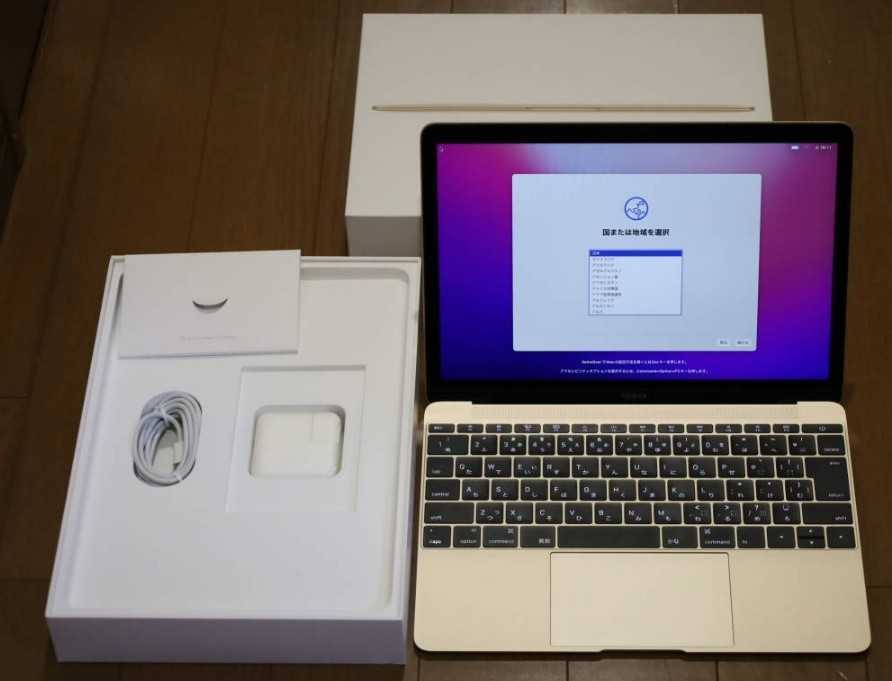 ヤフオク! - 100円〜美品 MacBook MLHE2J/A Earl...