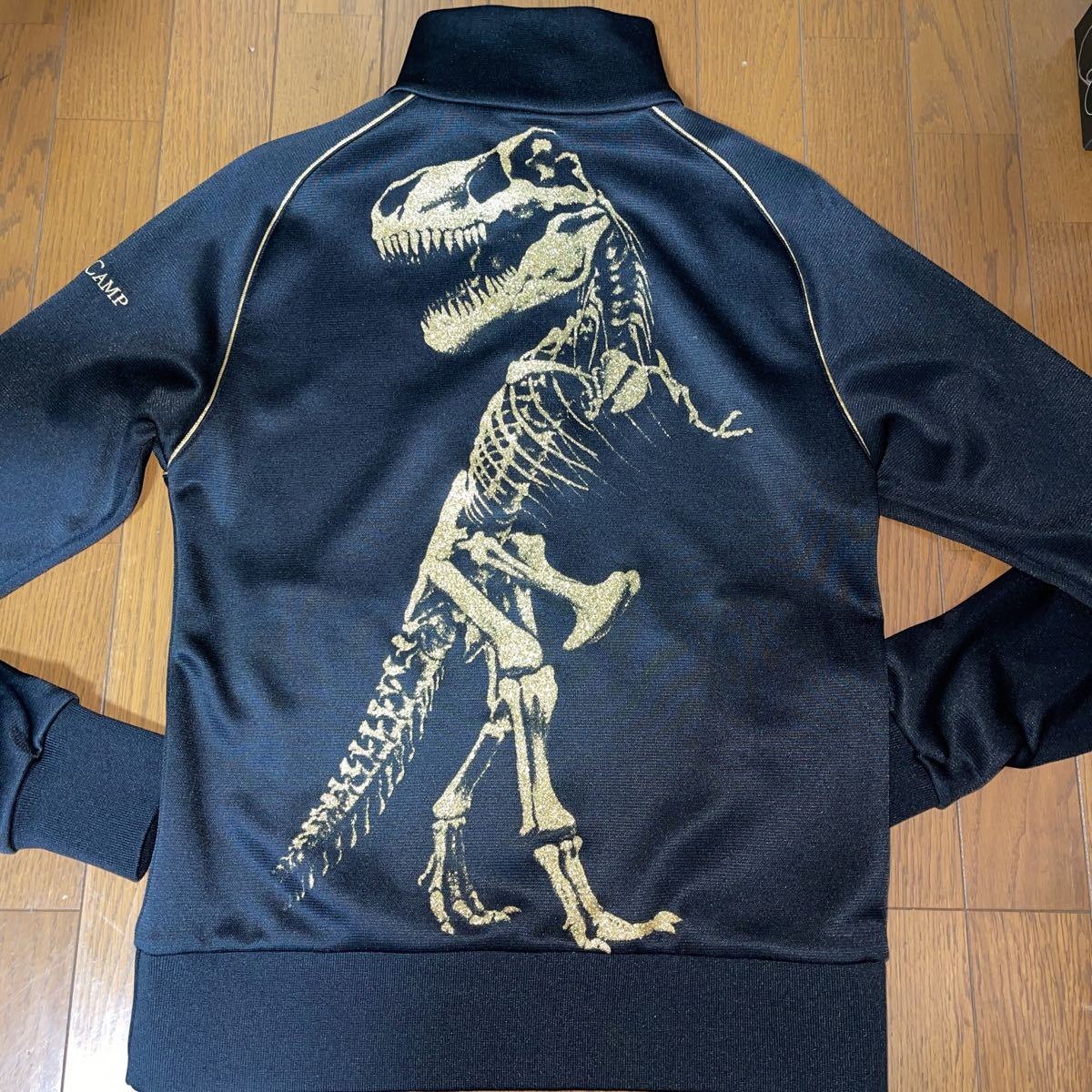 チャンピオン×ドレスキャンプ T-REX ジャージ クローズ 小栗旬着用-