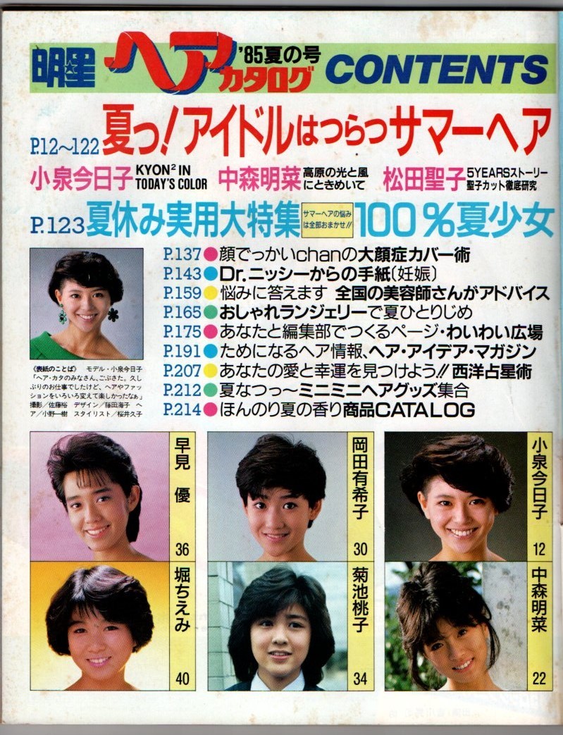 S2880 明星 ヘアカタログ 85夏の号 匿名配送 クリックポスト S2880 明星 ヘアカタログ 85夏の号 匿名配送 クリックポスト