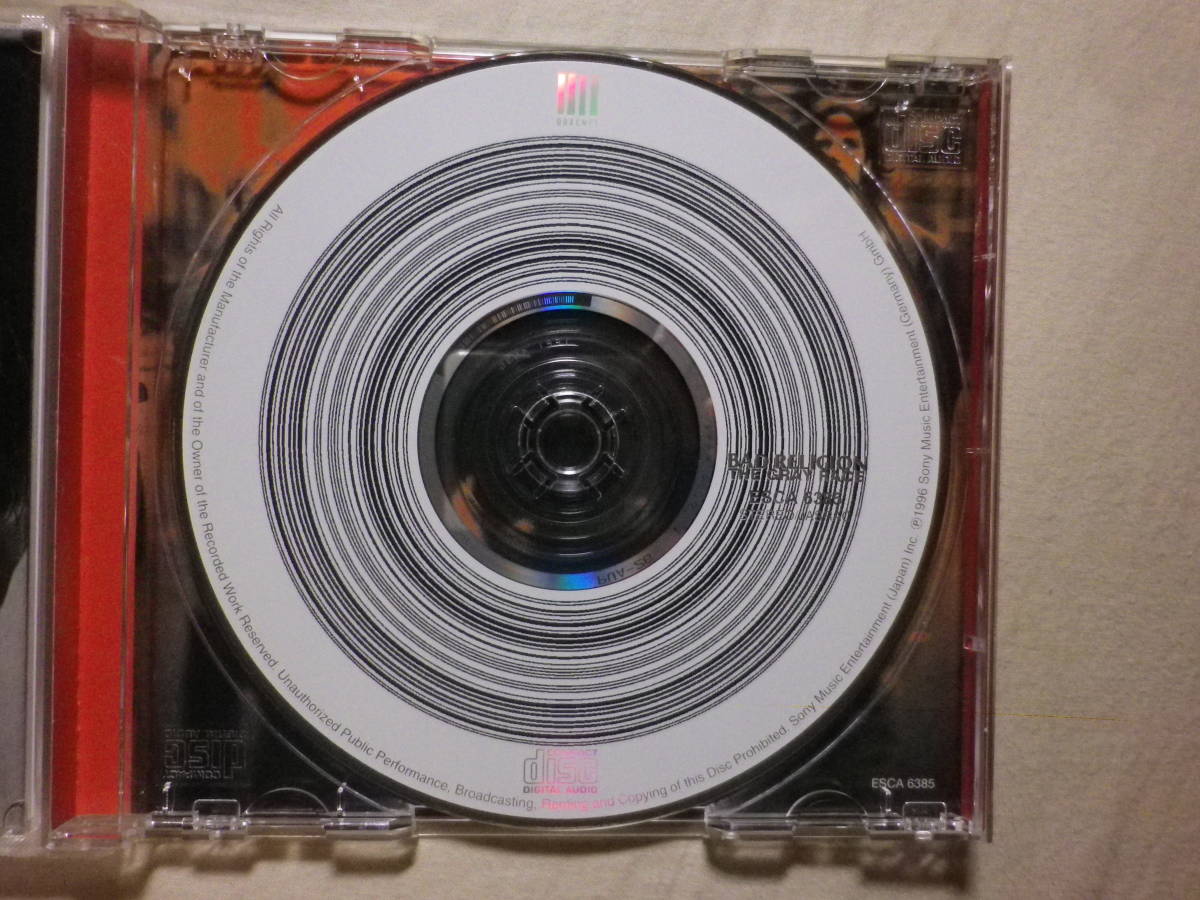 『Bad Religion/The Gray Race+2(1996)』(1996年発売,ESCA-6385,廃盤,国内盤帯付,歌詞対訳付,メロコア,Punk,Ric Ocasek)_画像3