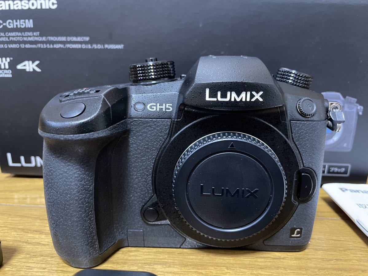 人気商品ランキング Panasonic LUMIX GH-5 ボディ+純正バッテリー2個