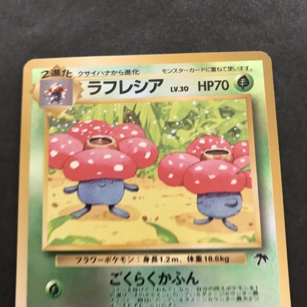 Yahoo!オークション - 即決 ポケモンカード 旧裏面 旧裏 Yahoo!オークション - 即決 ポケモンカード 旧裏面 旧裏