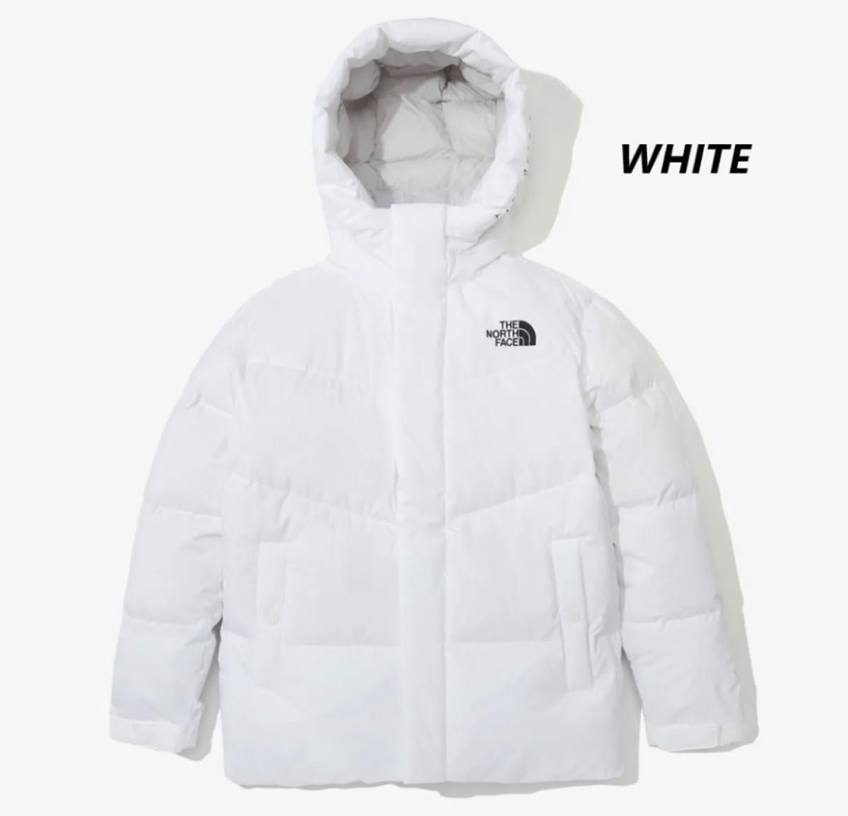 新品限定 L 22AW THE NORTH FACE ザ・ノースフェイス ホワイトレーベル