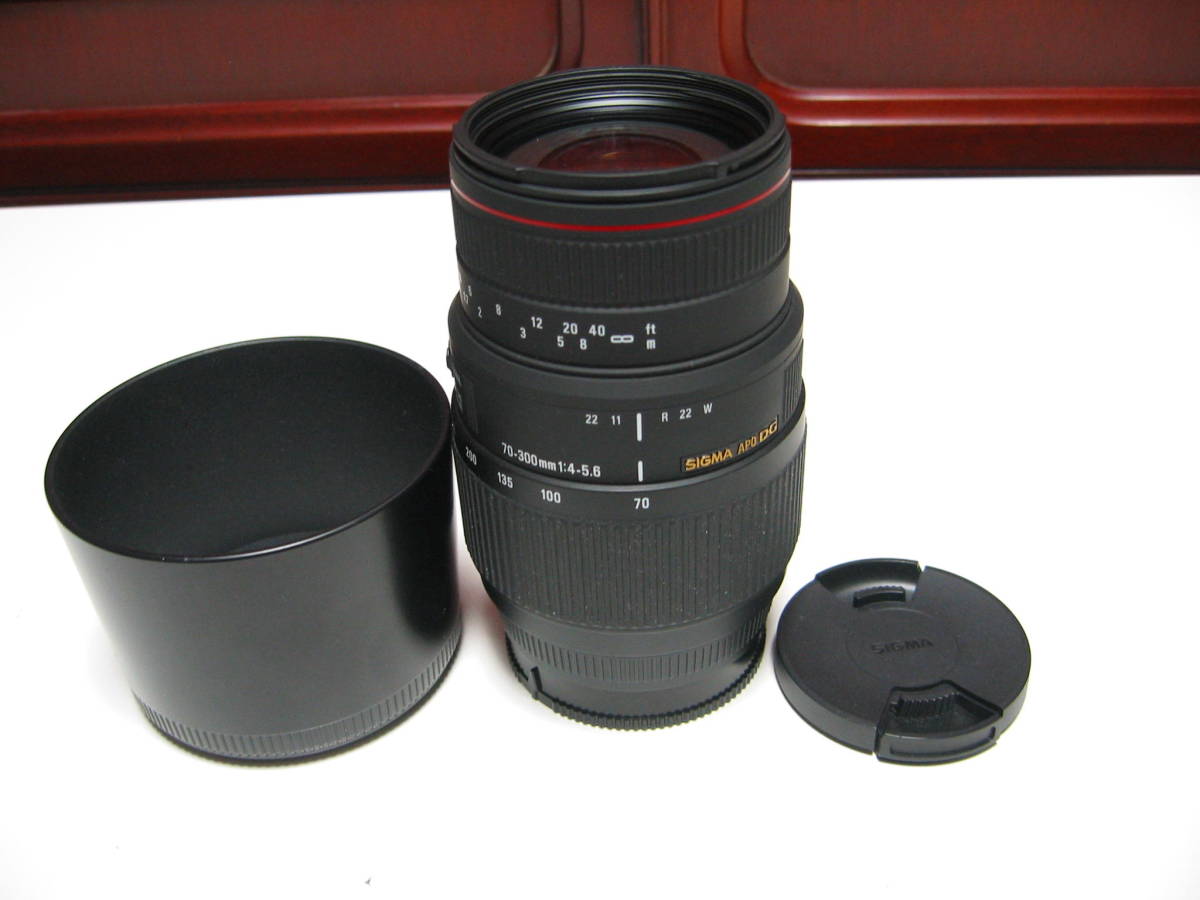 84%OFF!】 SIGMA 望遠ズームレンズ 70-300mm F4-5.6 DG MACRO ソニーA