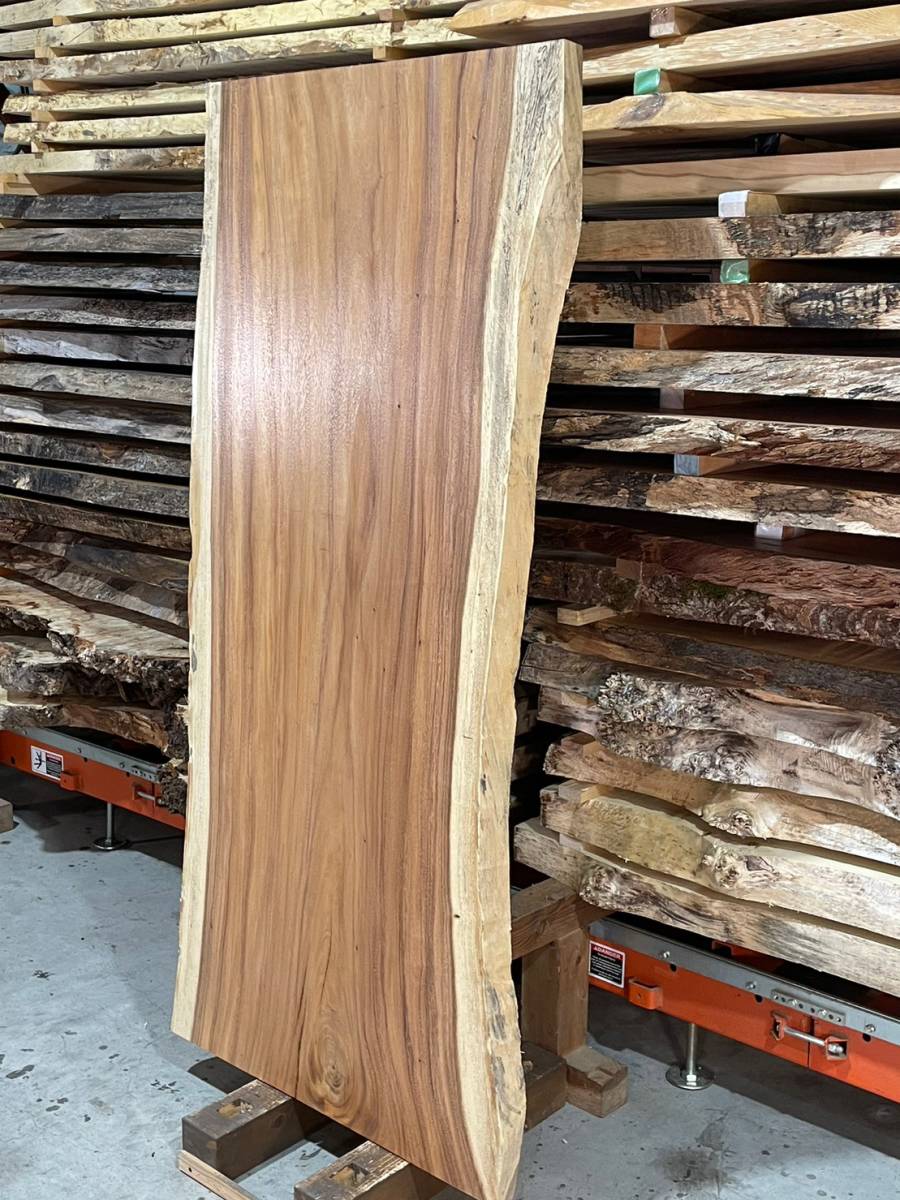 モンキーポッド P060-1 一枚板 両面フラット加工済! 棚板 カウンター