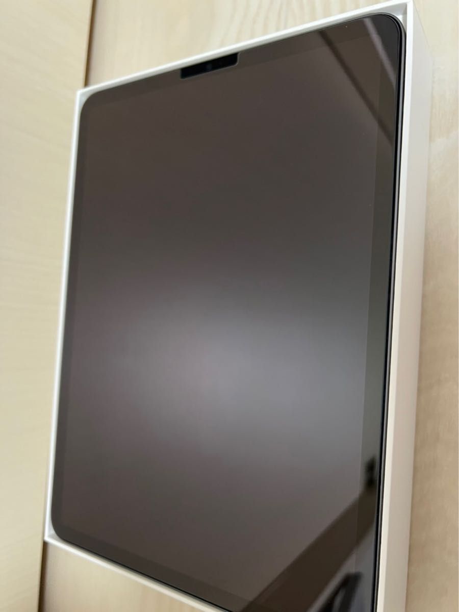 一部予約販売】 Pro Wi-Fiモデル 第一世代 美品 iPad Pro 256GB 11